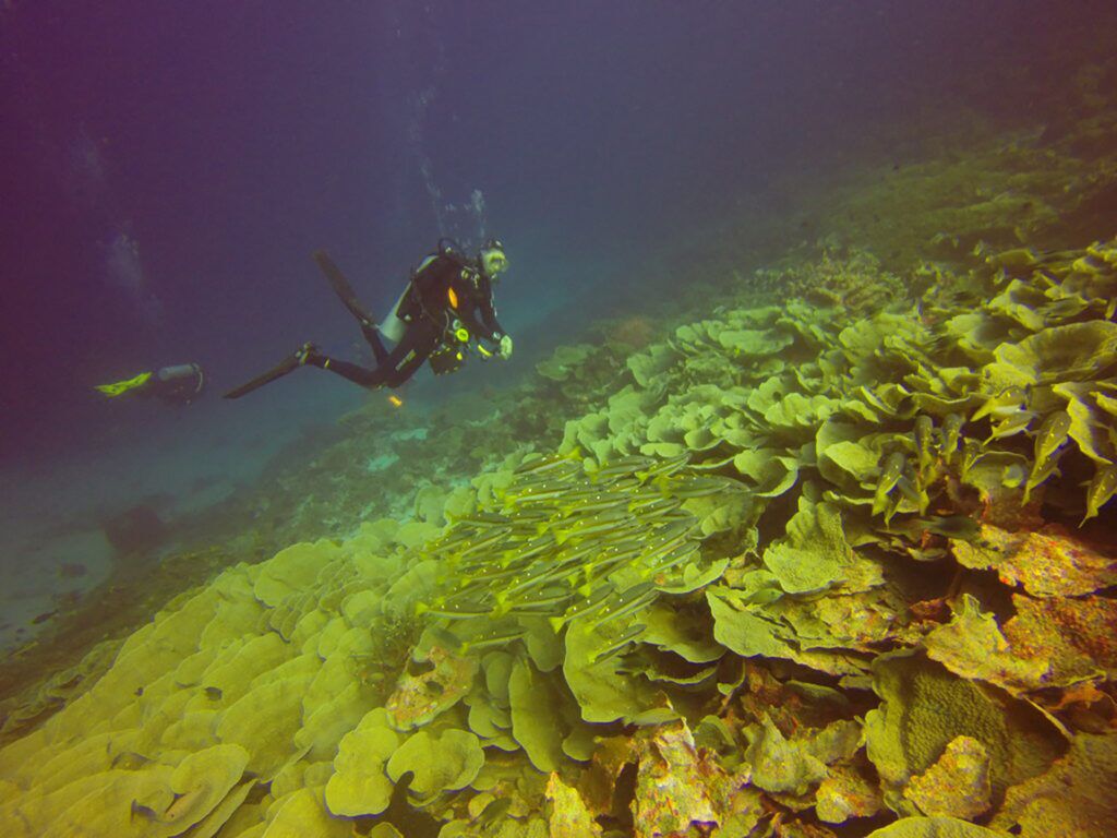 Scuba diver